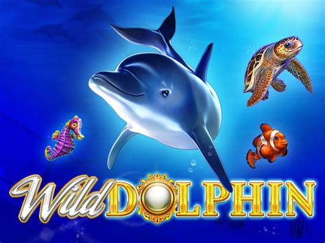 dolphin casino games.